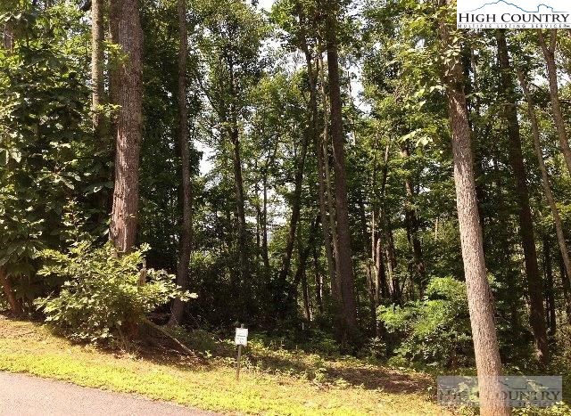 Lot 21 Boulder Cay Road Boone, NC 28607 - Photo 10 of 20