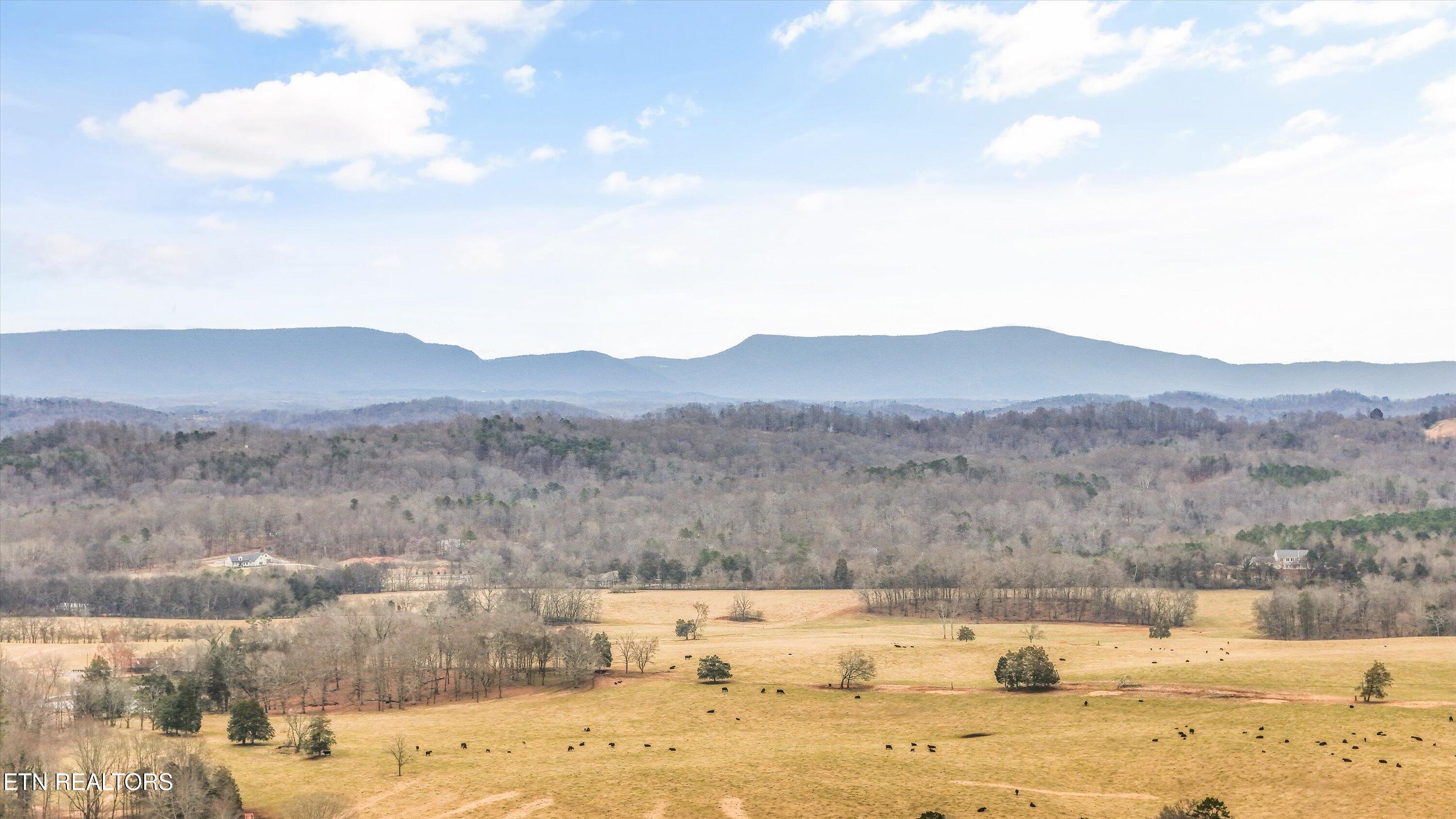223 County Road 703 Athens, TN 37303 - Photo 45 of 45 46-223 Co Rd 703-44
