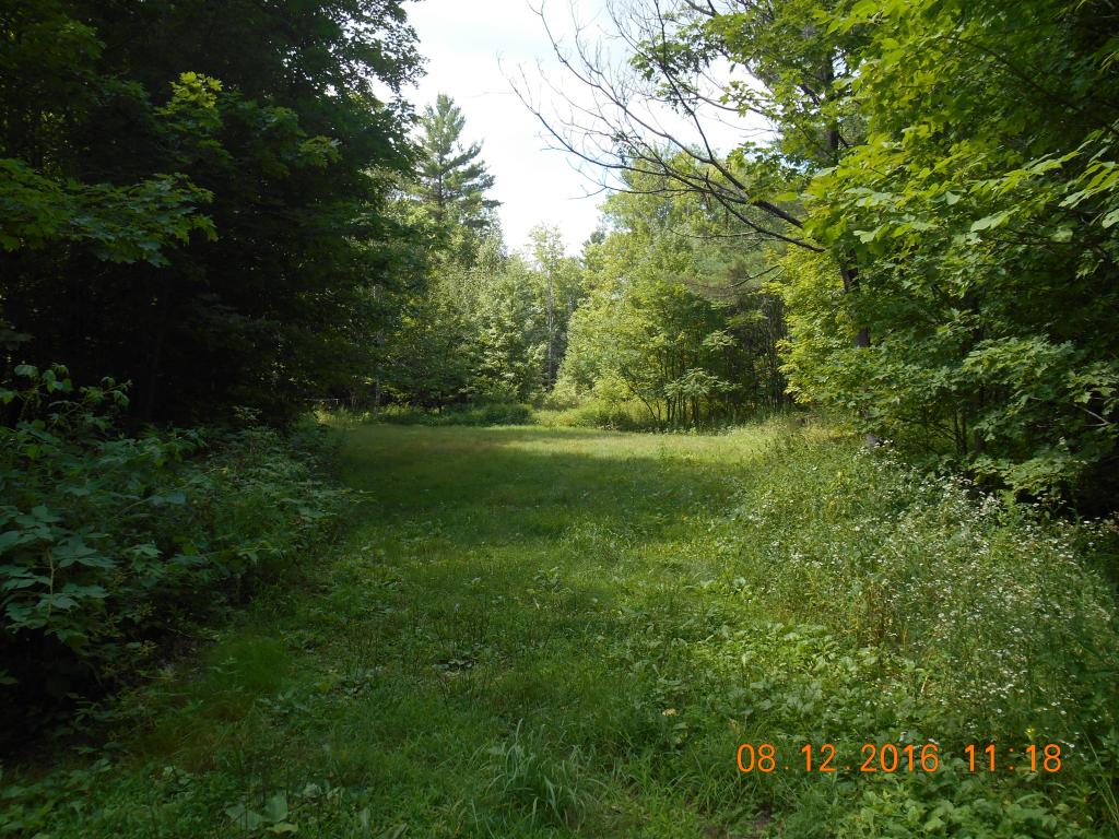 0 Cutler Road Lempster, NH 03605 - Photo 1 of 3