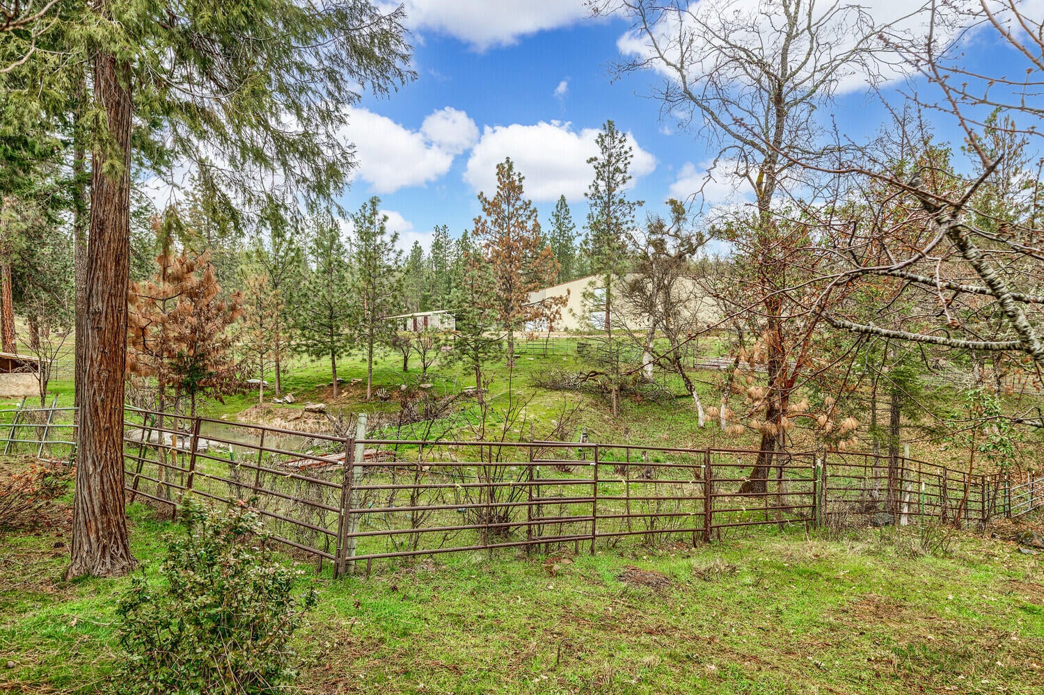 17153 Antioch Road White City, OR 97503 - Photo 39 of 39 Seasonal pond