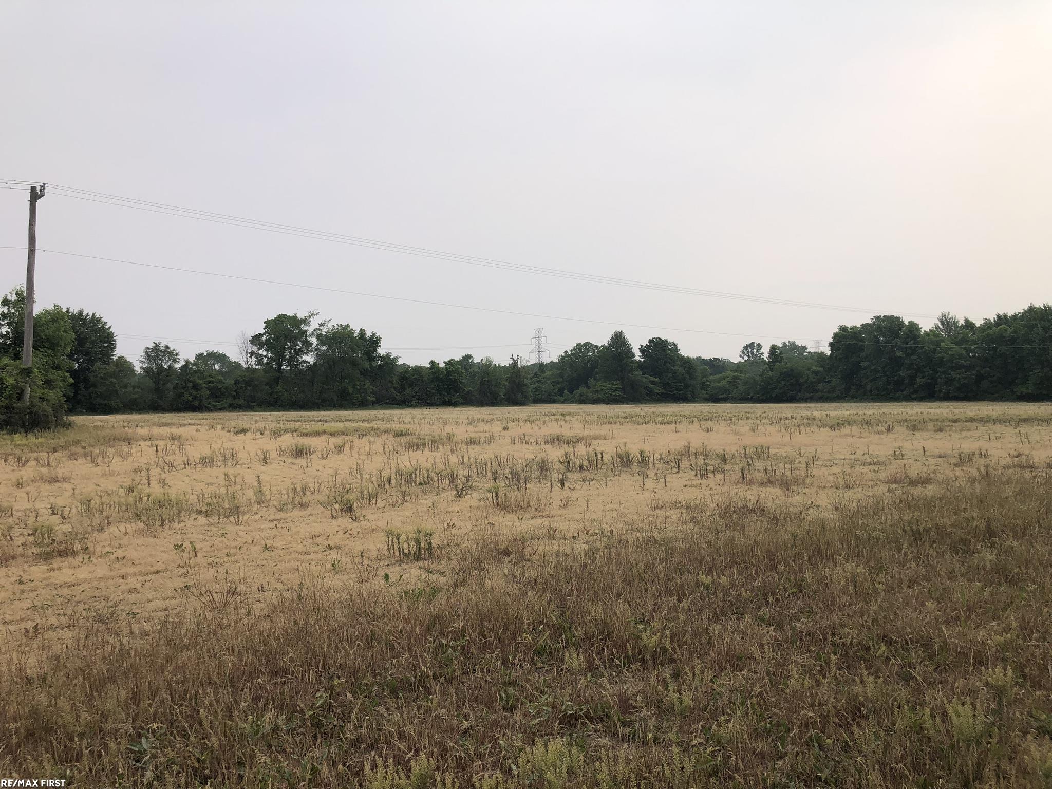 0 29 29 Mile Road New Haven, MI 48050 - Photo 1 of 38