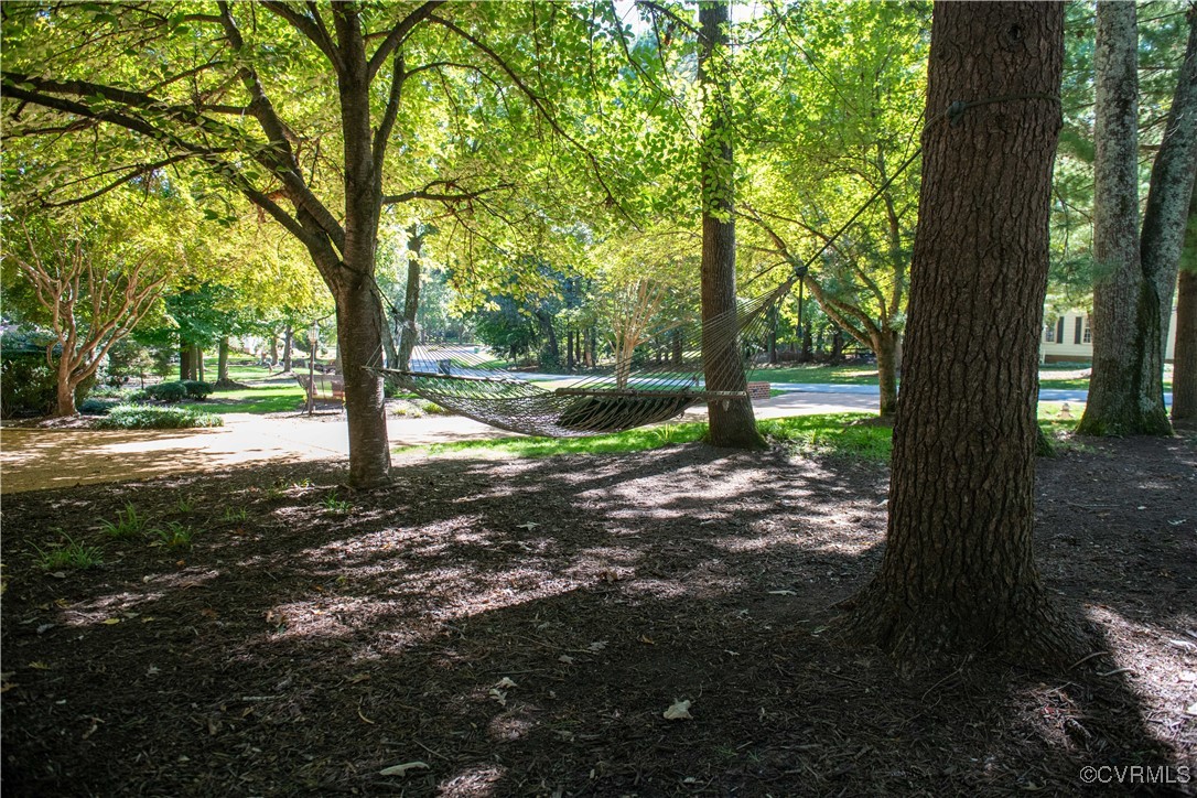 2561 Castle Hill Road Midlothian, VA 23113 - Photo 39 of 46 a view of a yard with trees