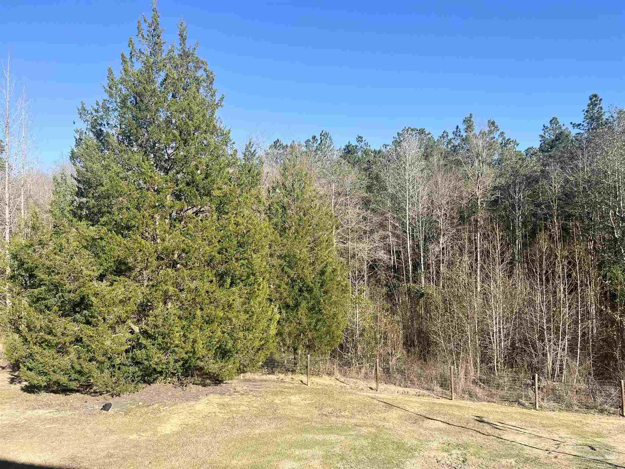 3030 Booneville Road Atmore, AL 36502 - Photo 49 of 57