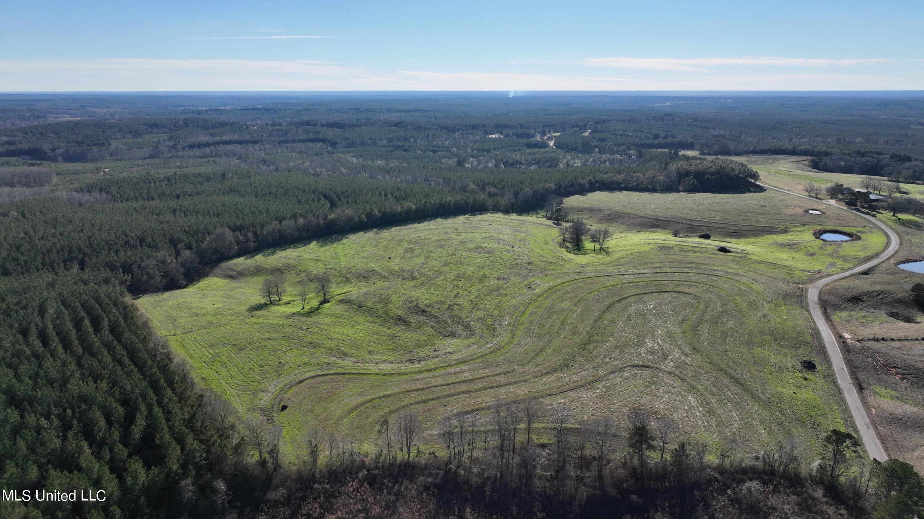 9 Friendship Road Carson, MS 39427 - Photo 1 of 33 Photo_1080295557_DJI_133_jpg_10352484_0_