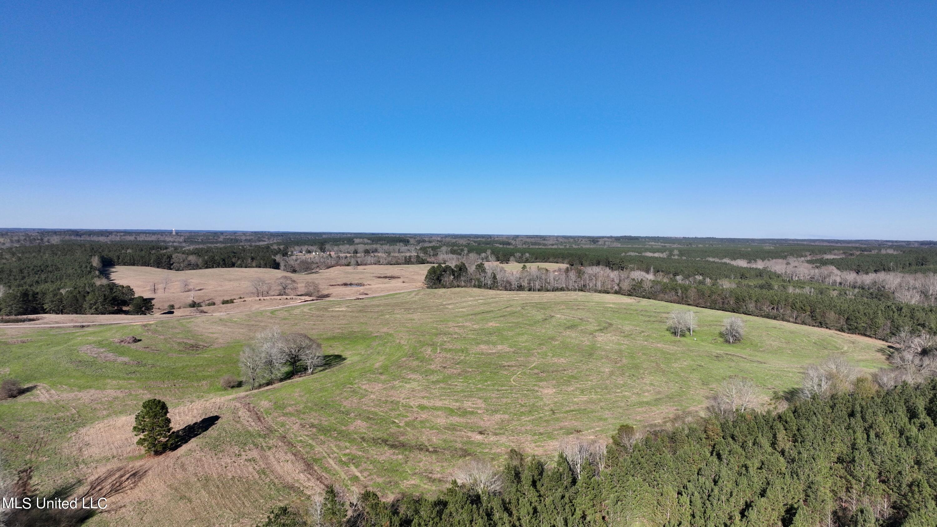 9 Friendship Road Carson, MS 39427 - Photo 14 of 33 Photo_1080295499_DJI_75_jpg_10173542_0_2