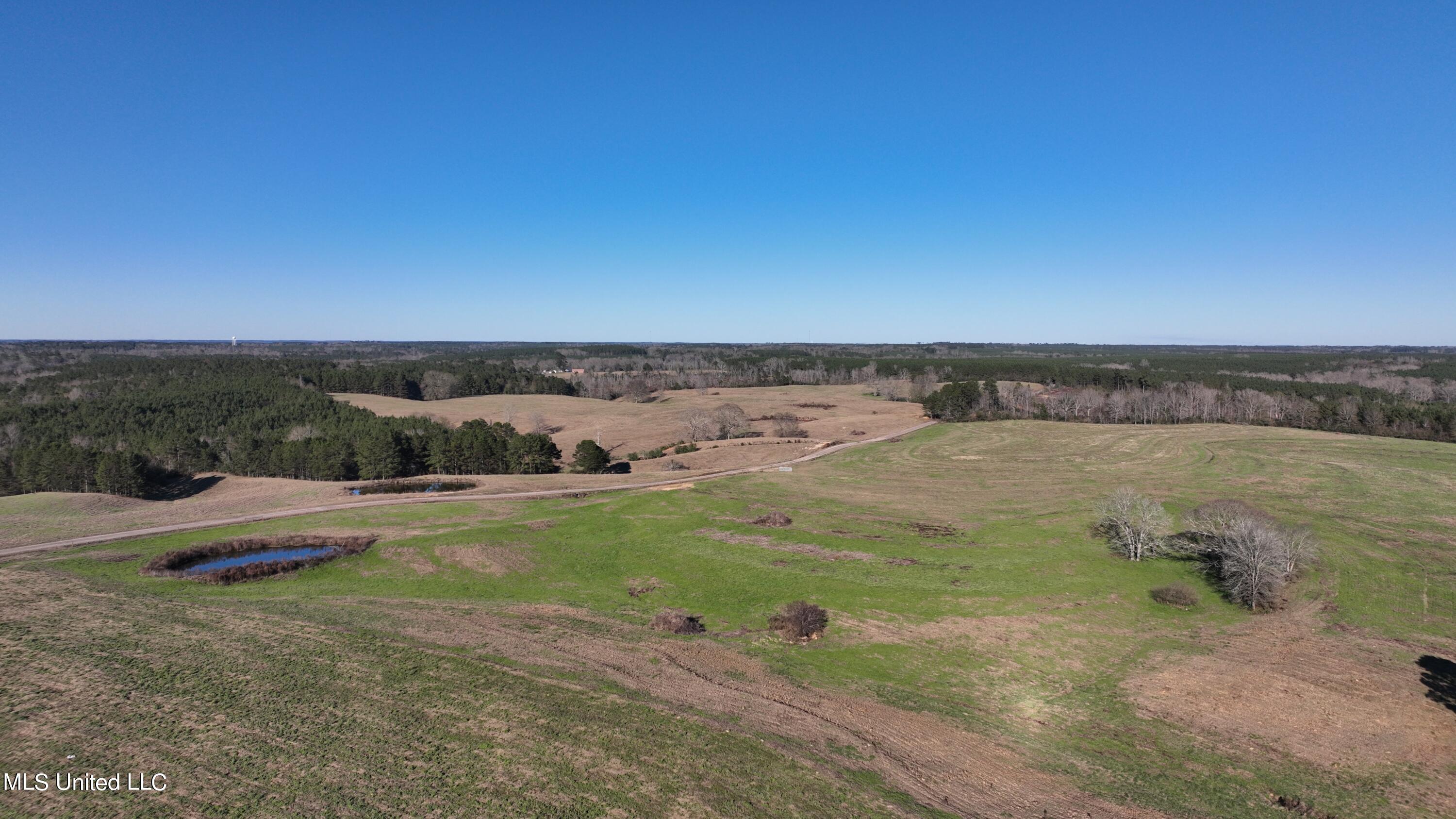 9 Friendship Road Carson, MS 39427 - Photo 17 of 33 Photo_1080295592_DJI_168_jpg_10122487_0_