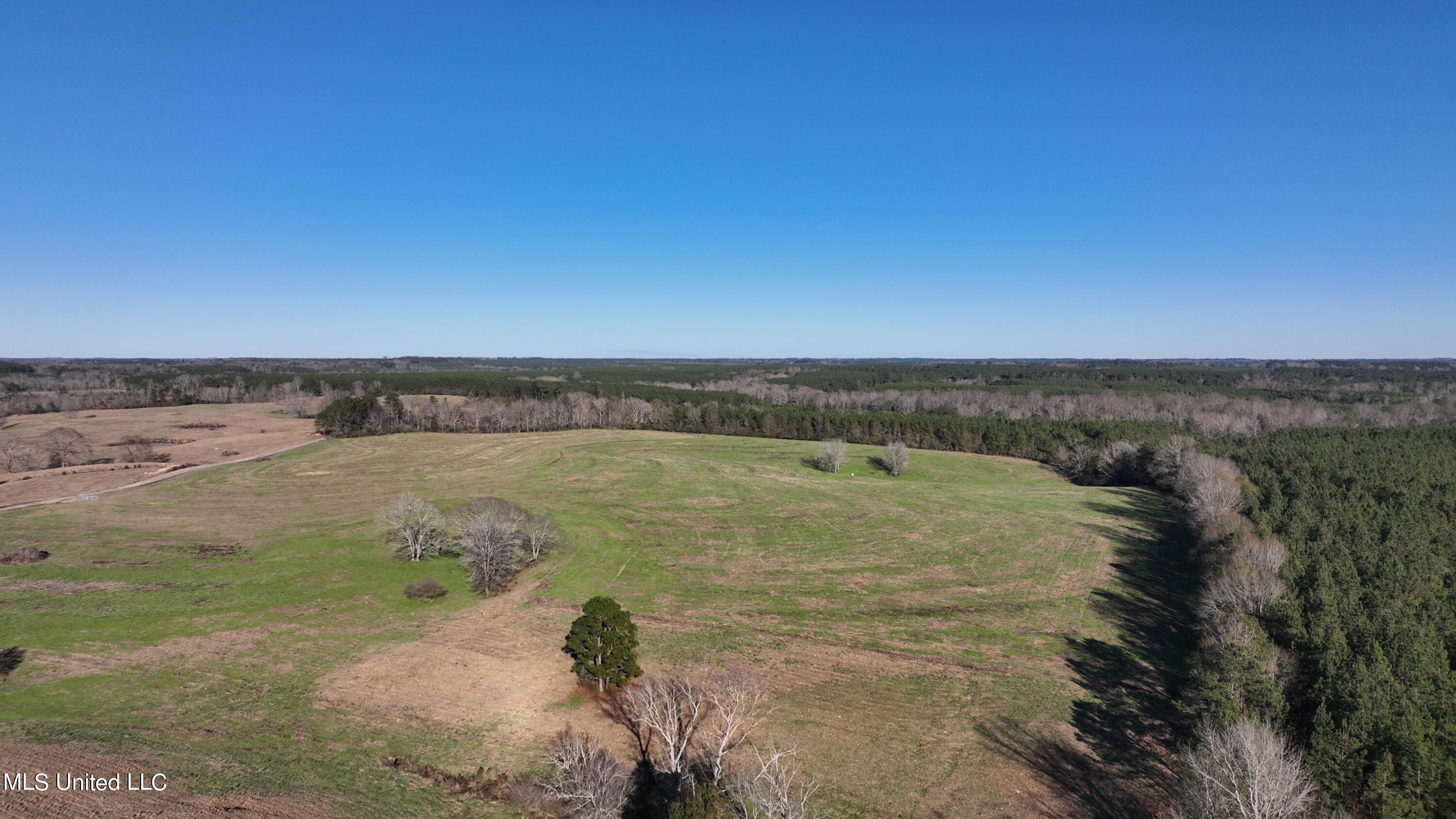 9 Friendship Road Carson, MS 39427 - Photo 29 of 33 Photo_1080295593_DJI_169_jpg_9848083_0_2