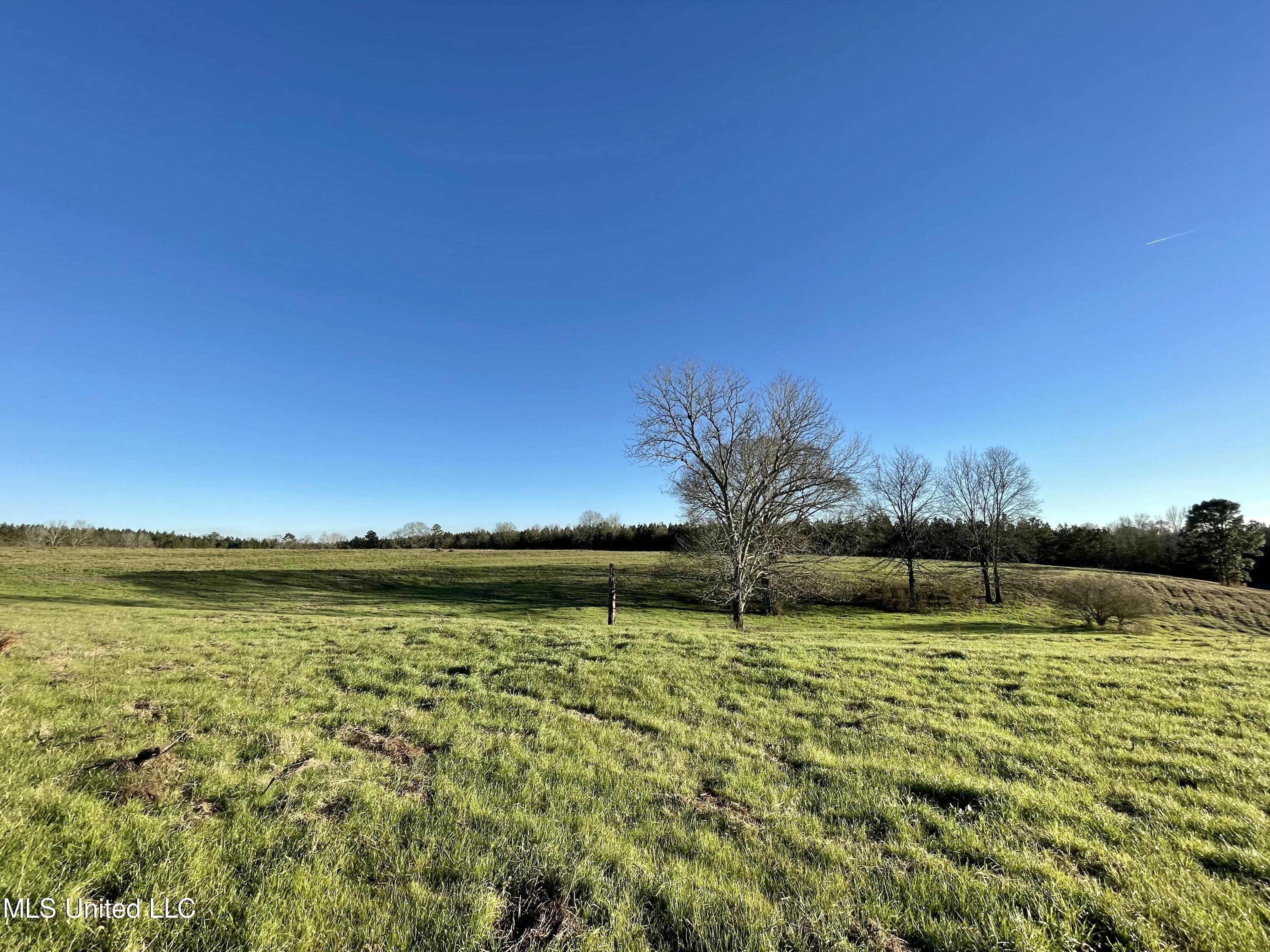 9 Friendship Road Carson, MS 39427 - Photo 3 of 33 FullSizeRender