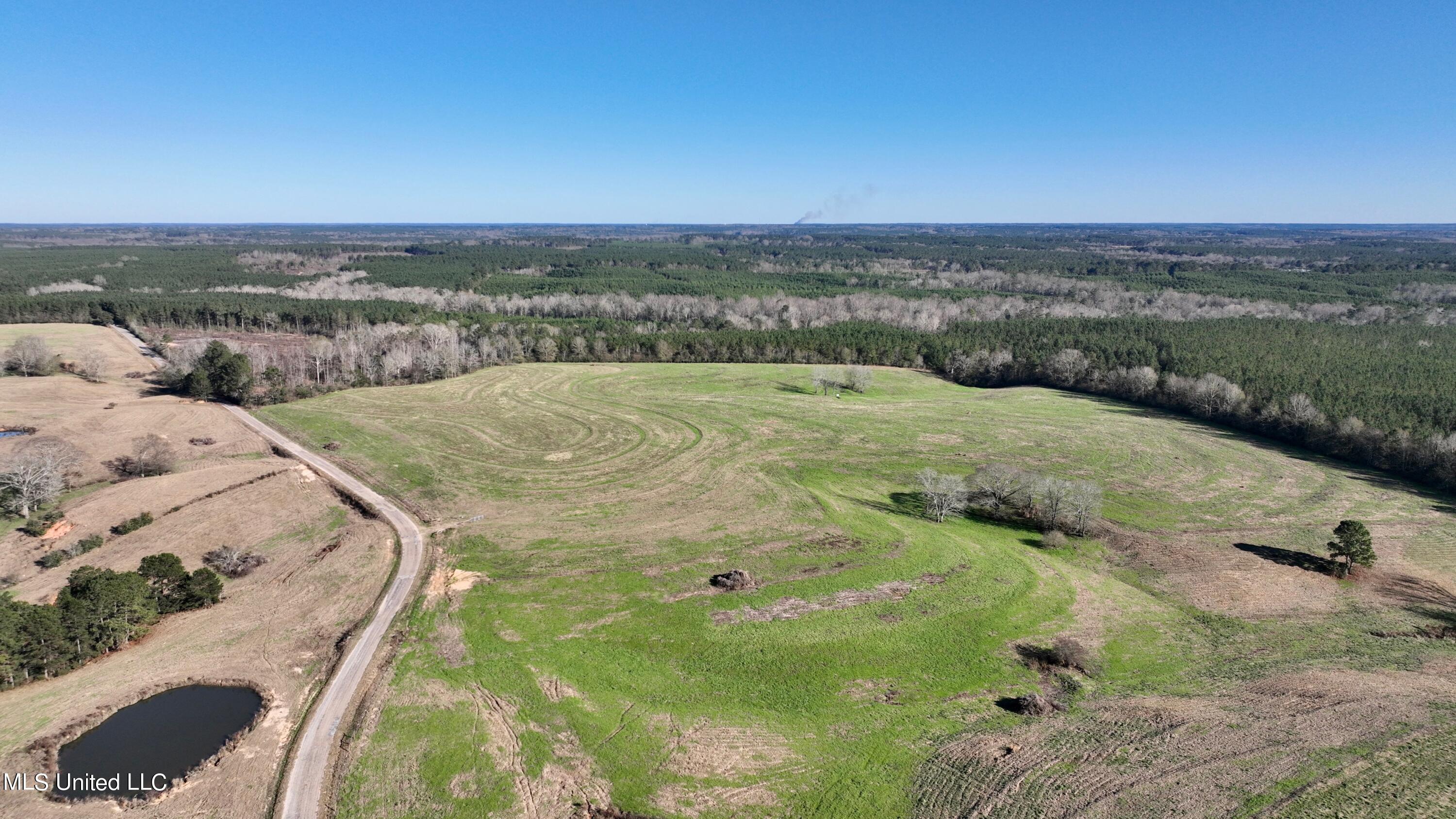 9 Friendship Road Carson, MS 39427 - Photo 4 of 33 Photo_1080295487_DJI_63_jpg_11042807_0_2