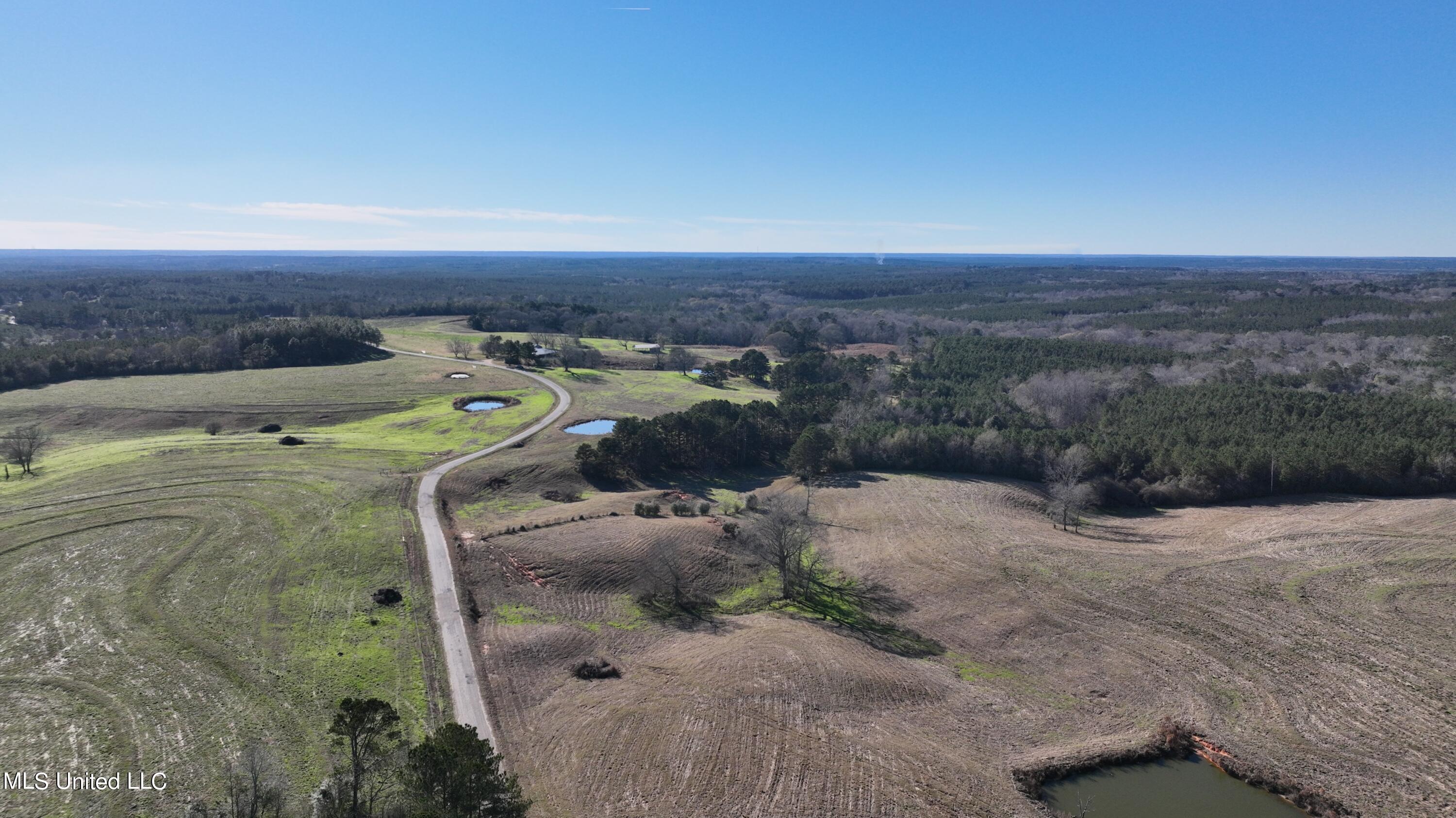 9 Friendship Road Carson, MS 39427 - Photo 8 of 33 Photo_1080295515_DJI_91_jpg_10297437_0_2
