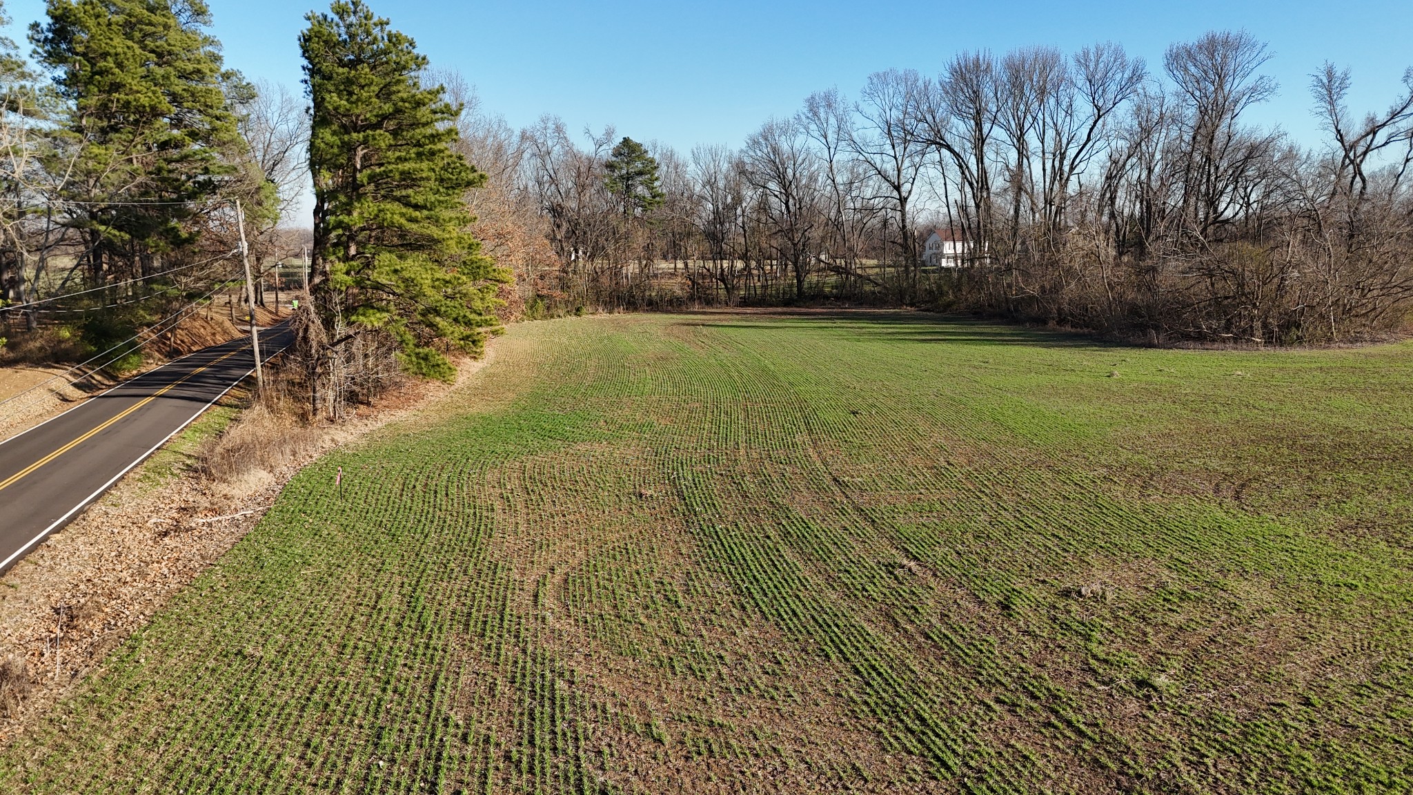 0 Chambers Road Millington, TN 38053 - Photo 4 of 11 a view of yard with green space