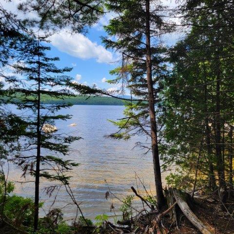 T4 Wadleigh Pond Road Millinocket, ME 04462 - Photo 26 of 38 Property Shoreline