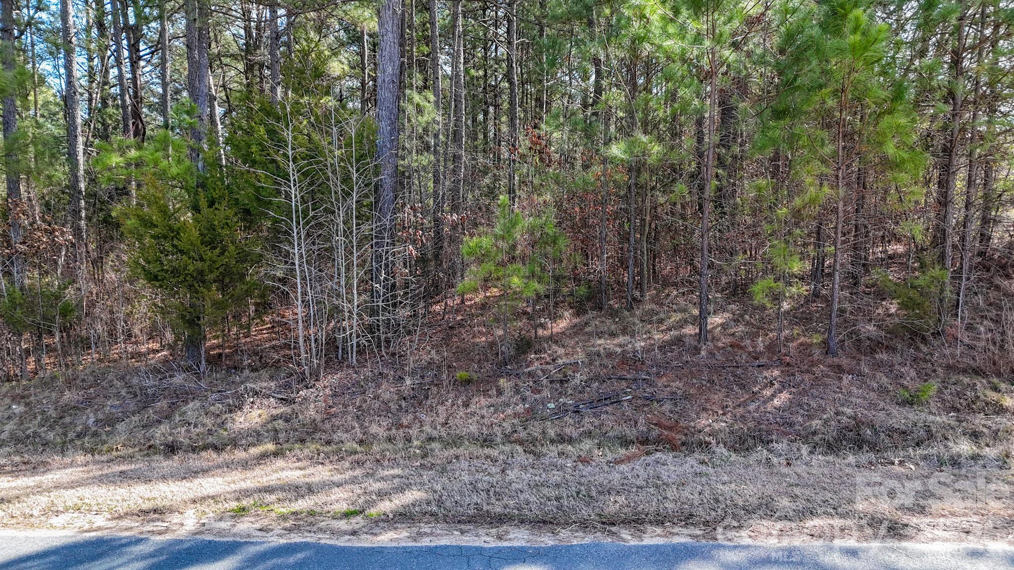 0 Sapp Road Kannapolis, NC 28083 - Photo 14 of 16