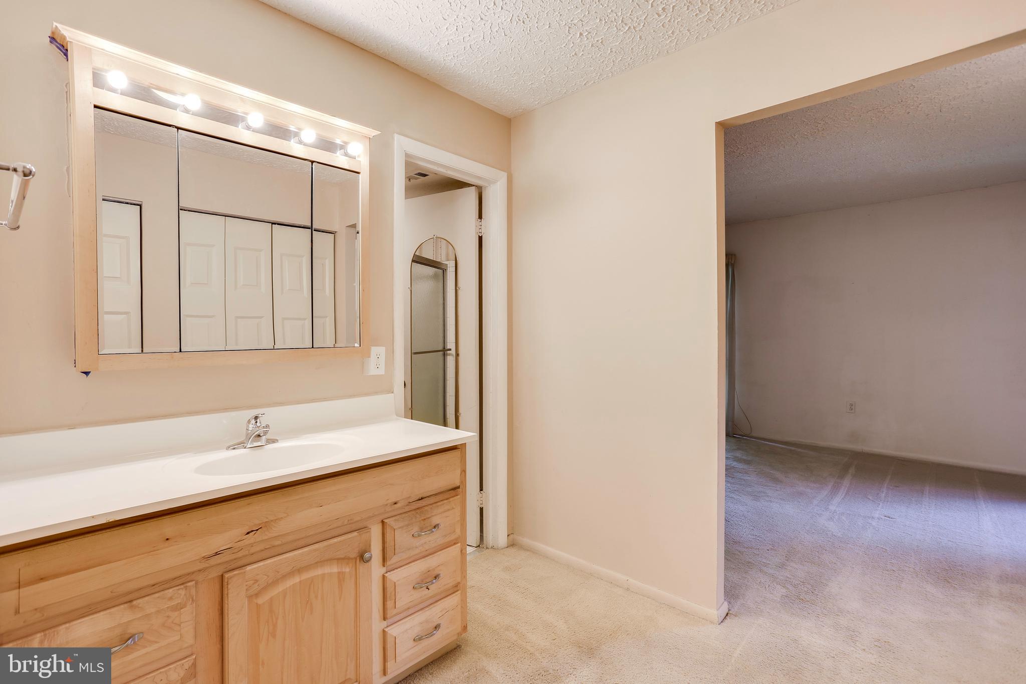 5249 West Running Brook Road, Unit 201 Columbia, MD 21044 - Photo 23 of 32 MASTER BATHROOM!
