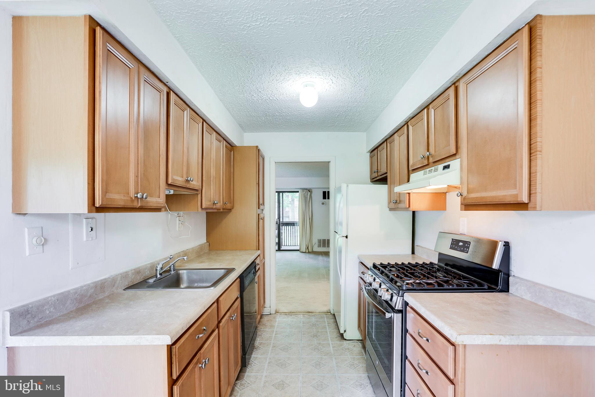 5249 West Running Brook Road, Unit 201 Columbia, MD 21044 - Photo 8 of 32 BRIGHT KITCHEN