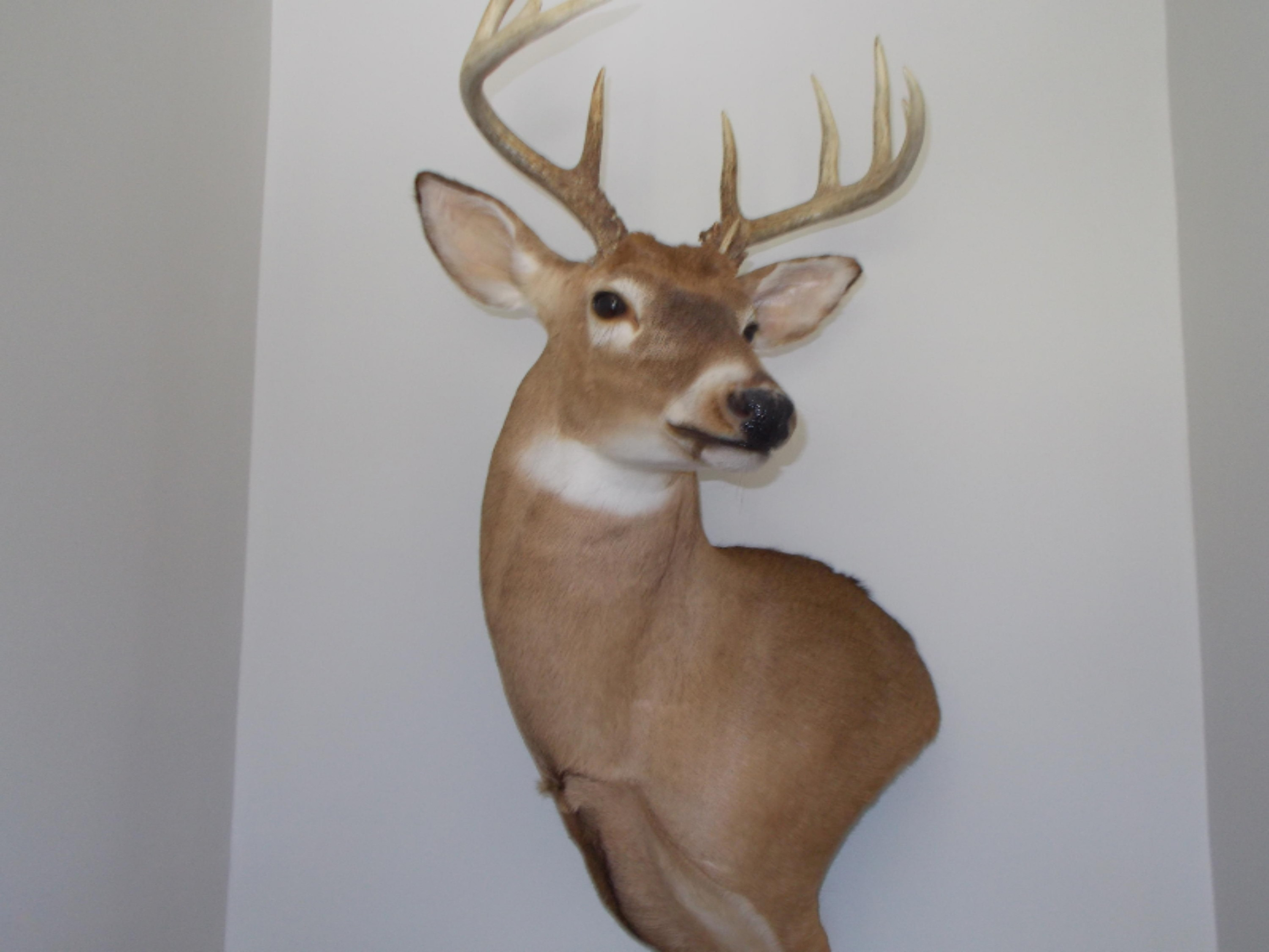1183 North Ellis Road Ludington, MI 49431 - Photo 11 of 22 JACK1183 010
