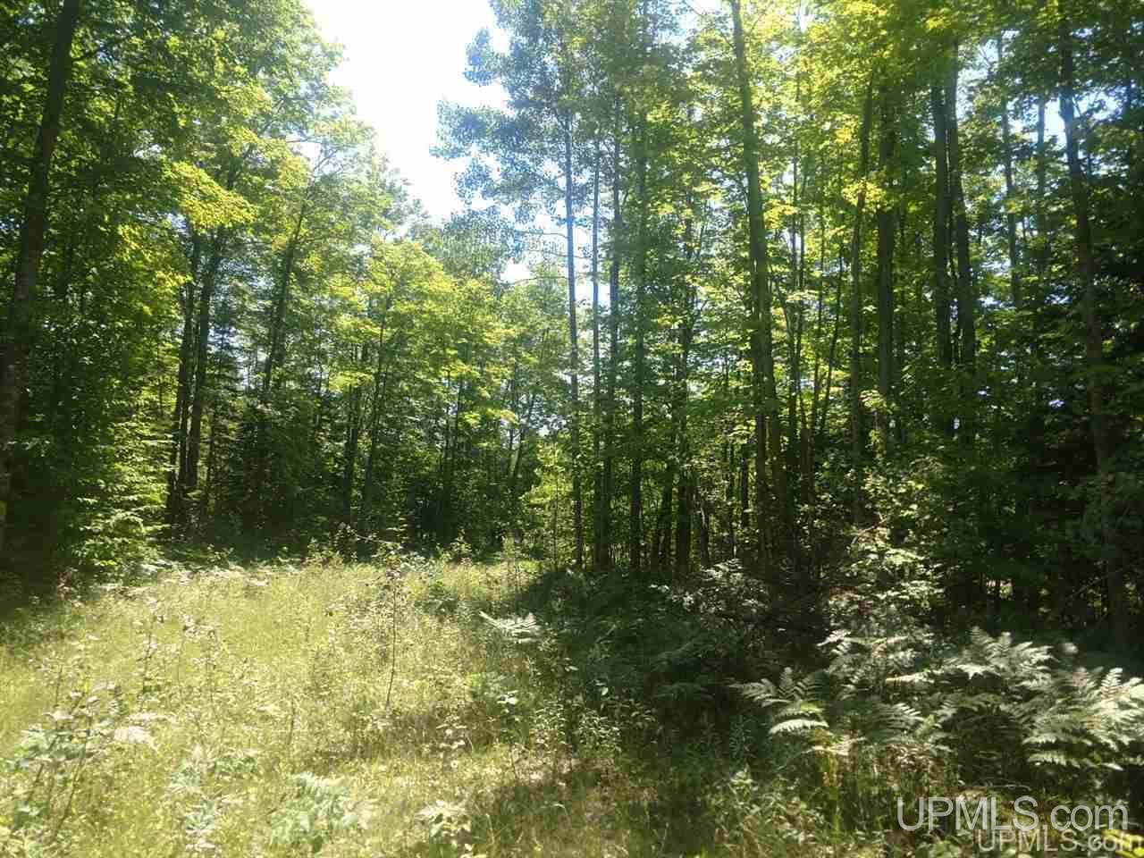 Tbd Karschney Road South Lanse, MI 49946 - Photo 7 of 11