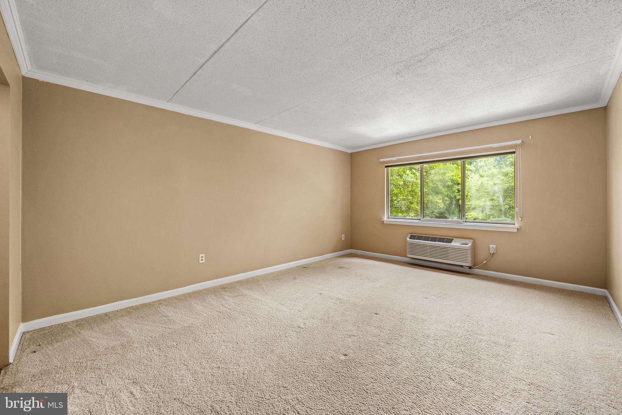 700 Avondale Road, Unit 3D Wallingford, PA 19086 - Photo 11 of 24 Primary bedroom with large window