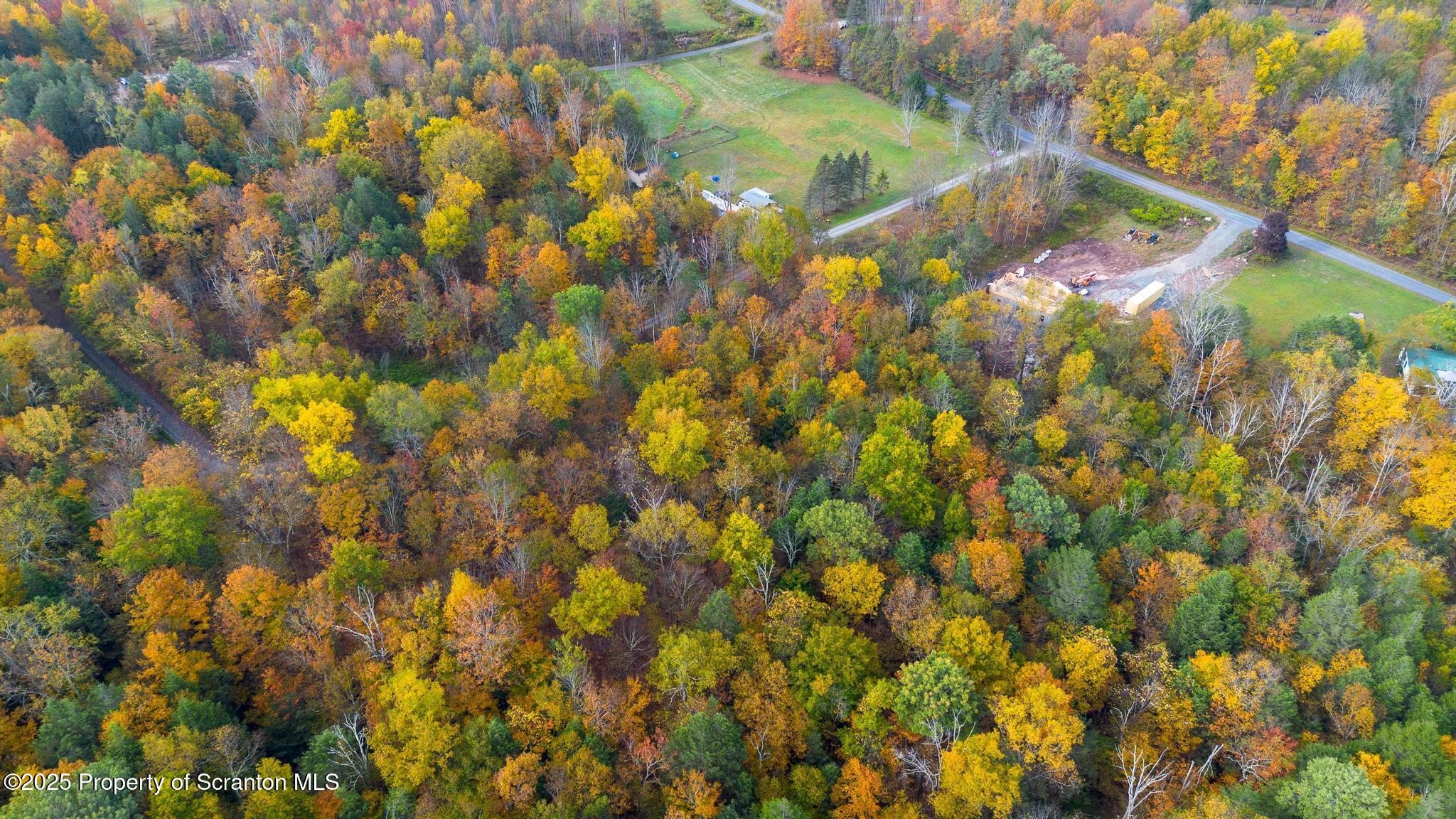 344 Burns Road Waymart, PA 18472 - Photo 6 of 19 a view of a yard
