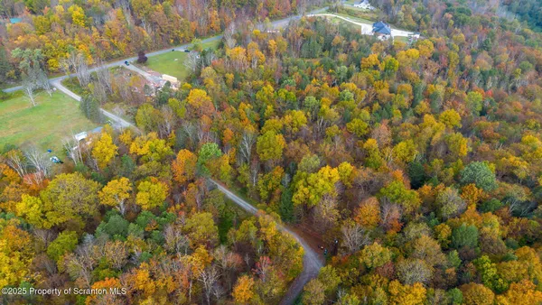 a view of a park with large trees