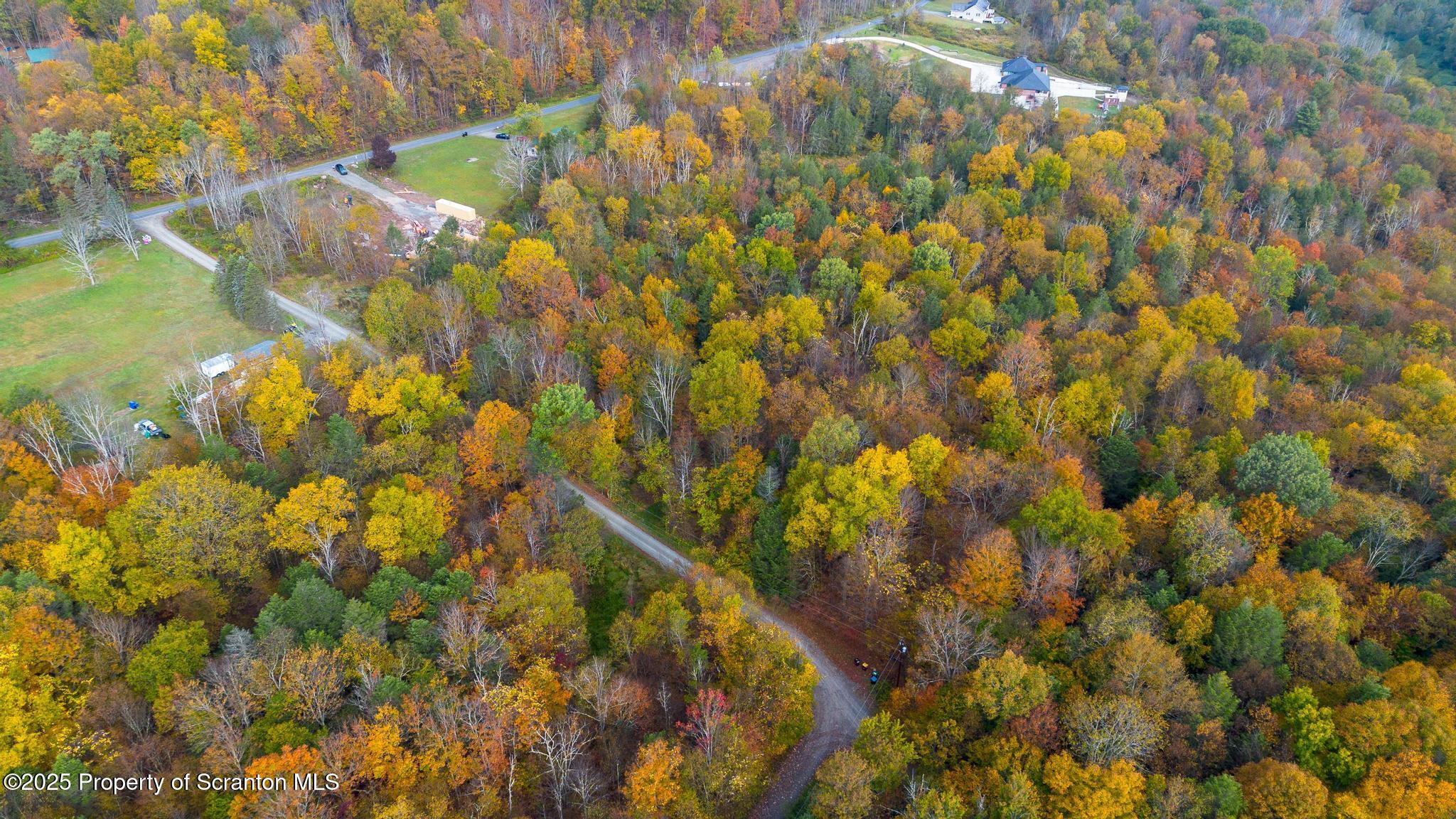 344 Burns Road Waymart, PA 18472 - Photo 8 of 19 a view of a tree