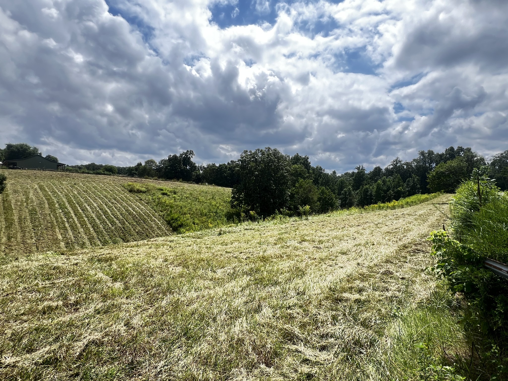 0 Dyer Ridge Road Baxter, TN 38544 - Photo 1 of 9 a view of a lake with a big yard