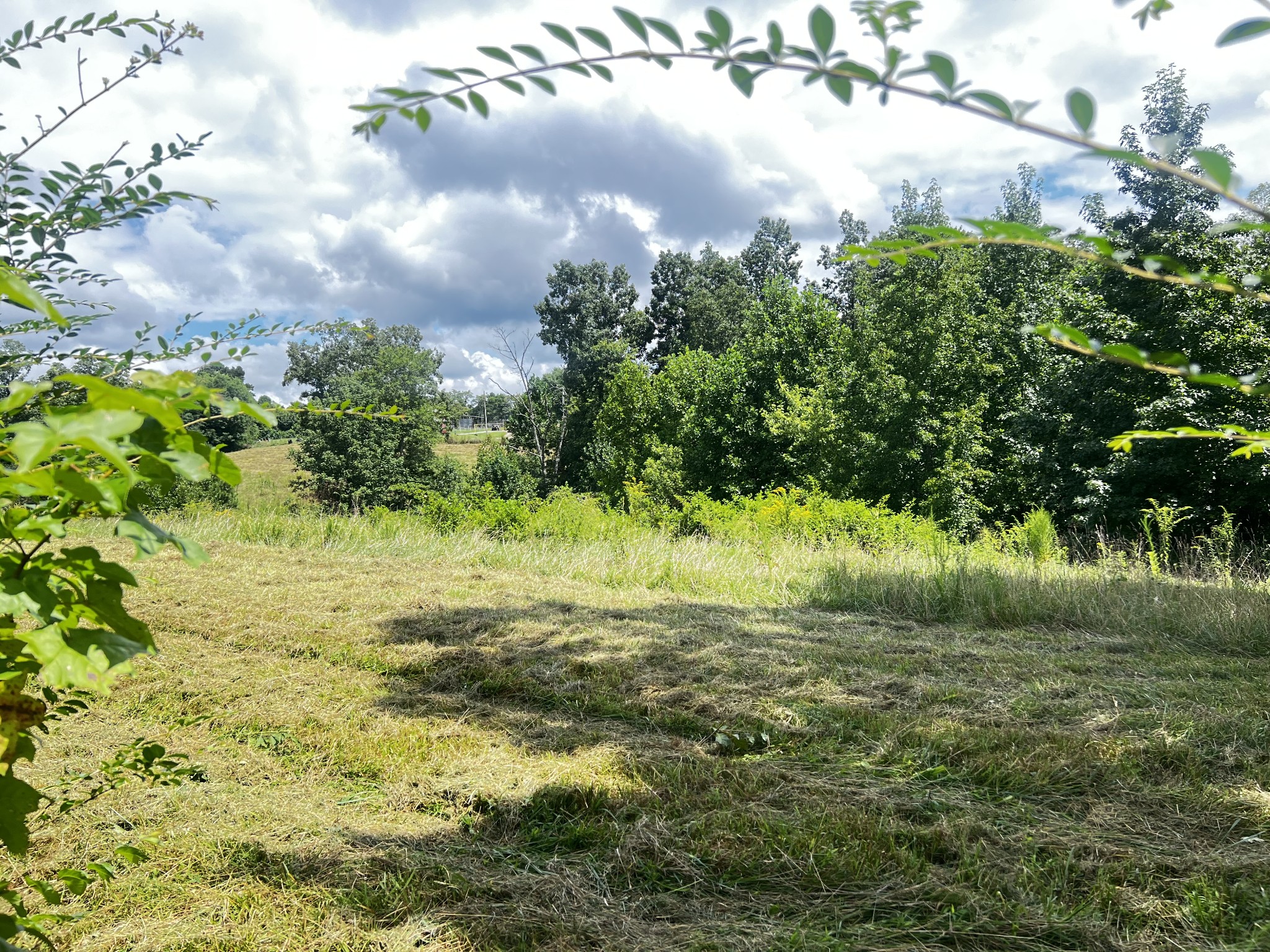 0 Dyer Ridge Road Baxter, TN 38544 - Photo 2 of 9 a view of outdoor space and trees