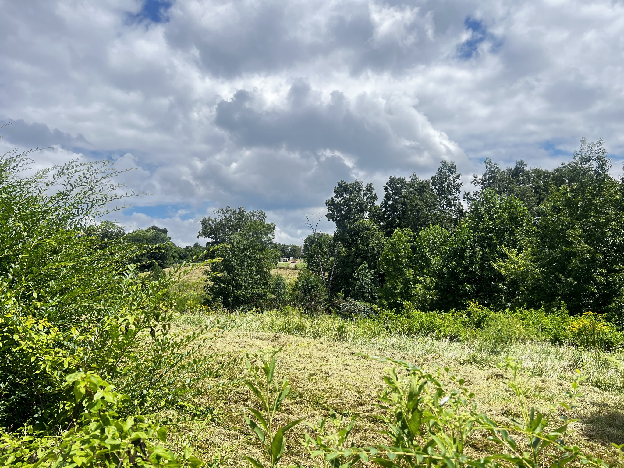 0 Dyer Ridge Road Baxter, TN 38544 - Photo 3 of 9