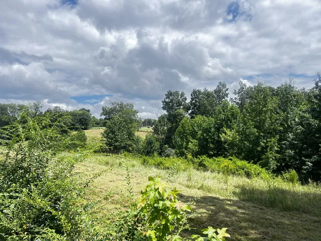 a view of a field with an ocean
