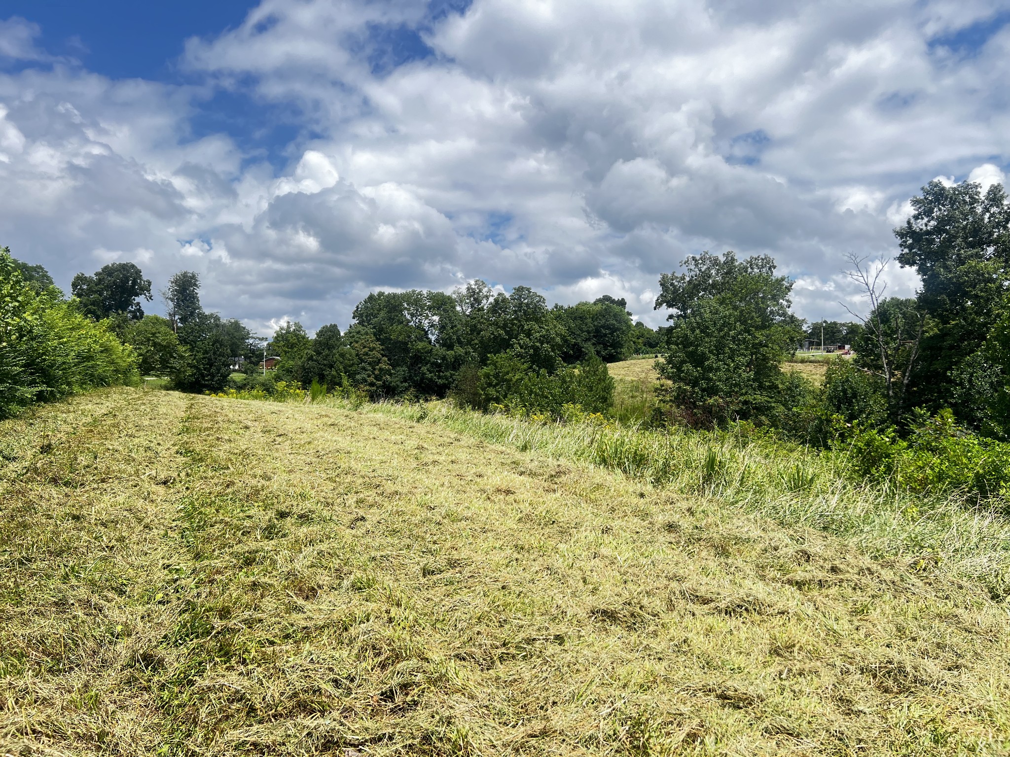 0 Dyer Ridge Road Baxter, TN 38544 - Photo 5 of 9