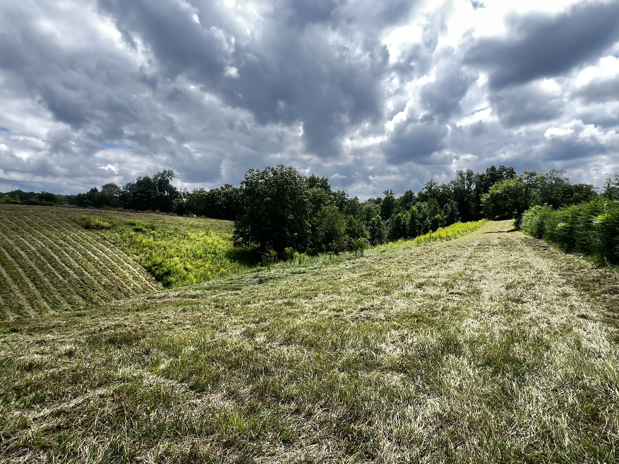 0 Dyer Ridge Road Baxter, TN 38544 - Photo 6 of 9 a view of a field with an ocean