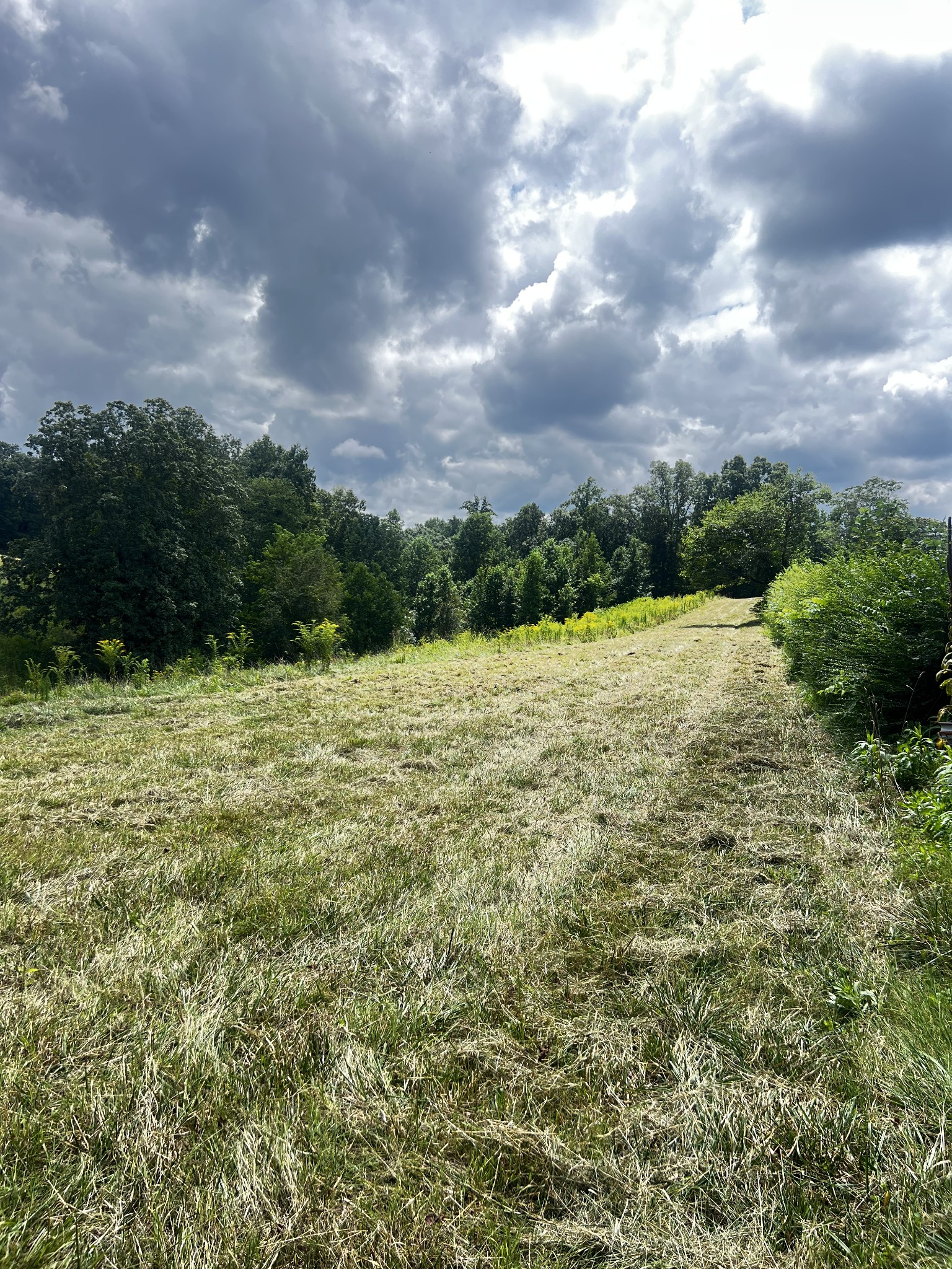 0 Dyer Ridge Road Baxter, TN 38544 - Photo 7 of 9 a view of a lake view with houses in the back