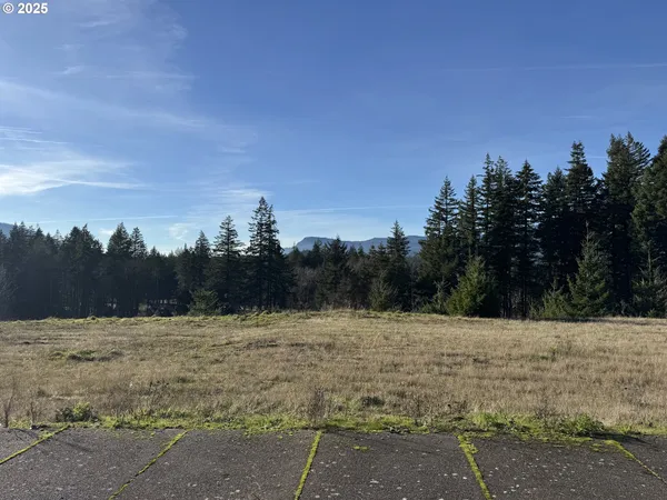 a view of a yard