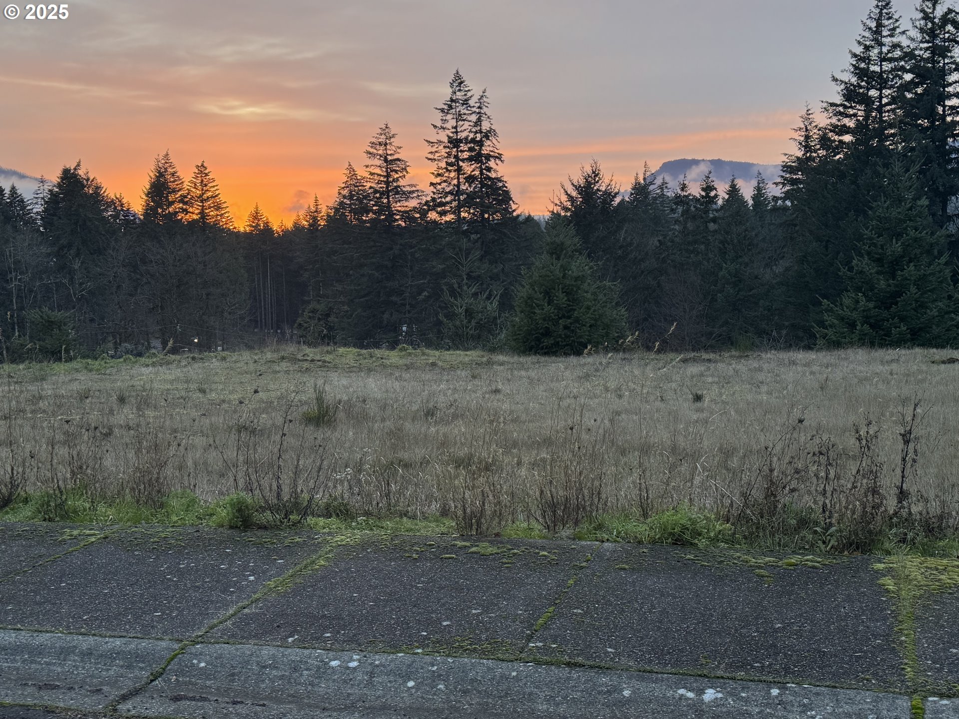 935 Spelling Place, Unit 17 Cascade Locks, OR 97014 - Photo 2 of 3 a view of a dry yard with trees