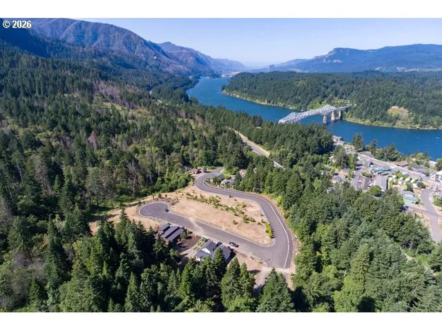 a view of a lush green hillside and a houses