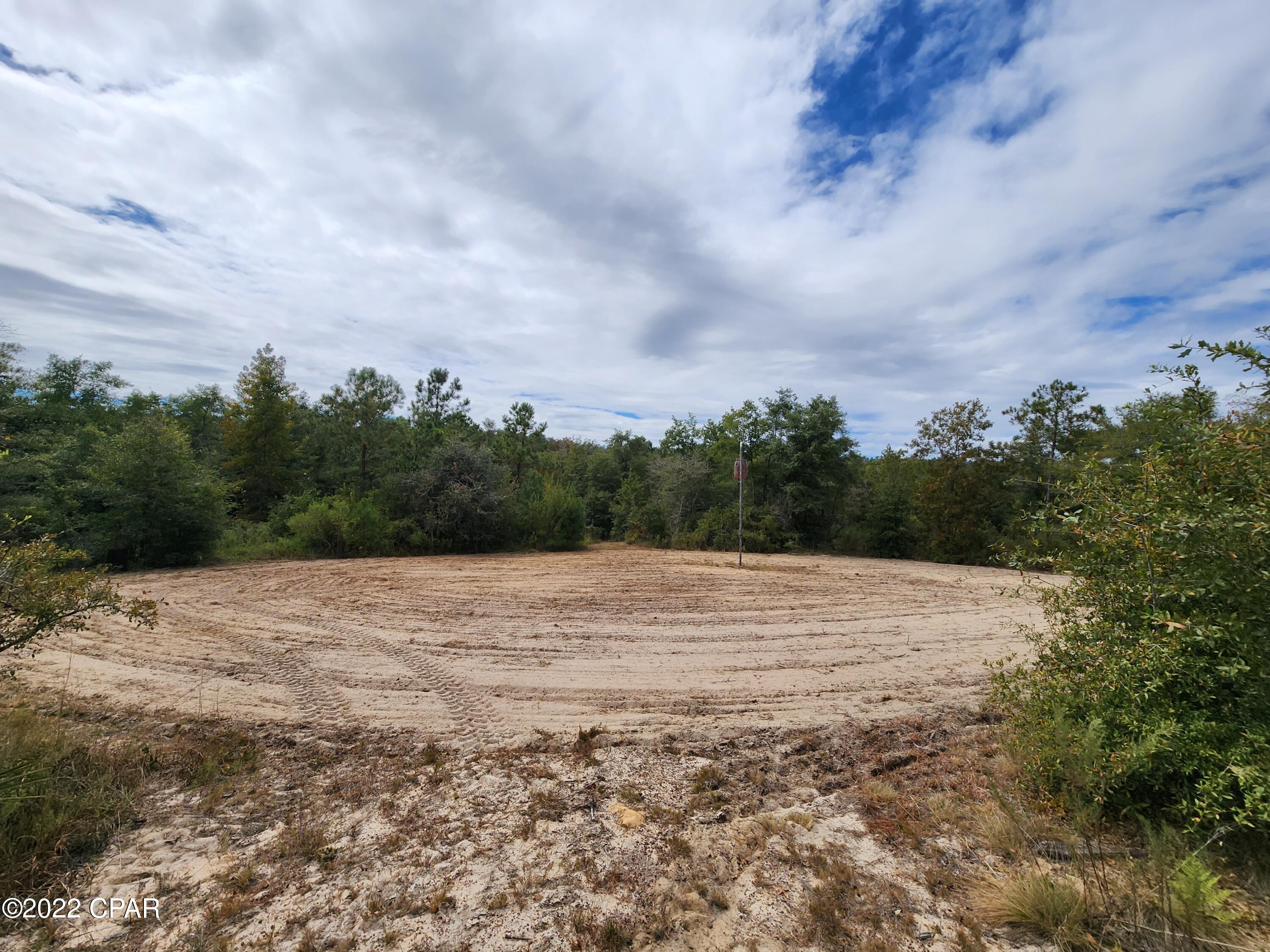Xxx Richard Hardy Road West Bristol, FL 32321 - Photo 15 of 23