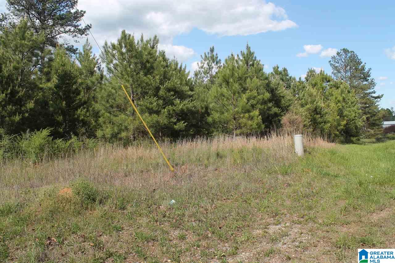 0 Highway 41 Addison Al, Unit 2 AC Addison, AL 35540 - Photo 3 of 5
