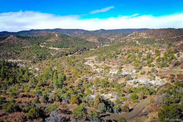 a view of a lush green hillside and a mountain view