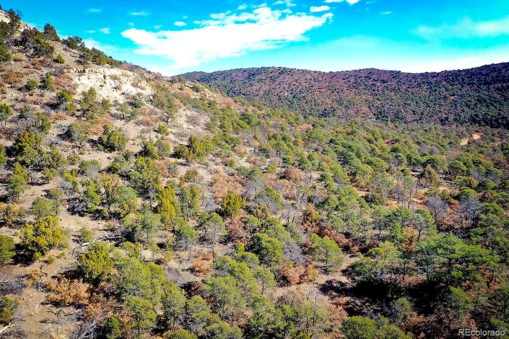 14 Fishers Peak Ranch Trinidad, CO 81082 - Photo 16 of 19 a view of a forest with mountains in the background