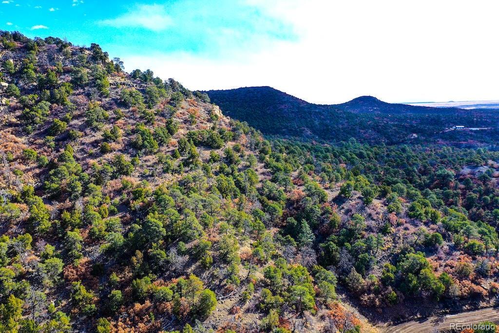 14 Fishers Peak Ranch Trinidad, CO 81082 - Photo 3 of 19 a view of a lush green field with a tree in a field