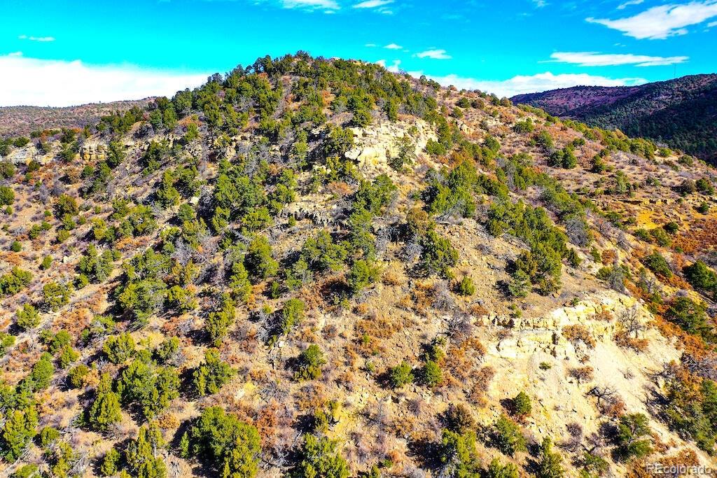 14 Fishers Peak Ranch Trinidad, CO 81082 - Photo 5 of 19 a view of a large tree