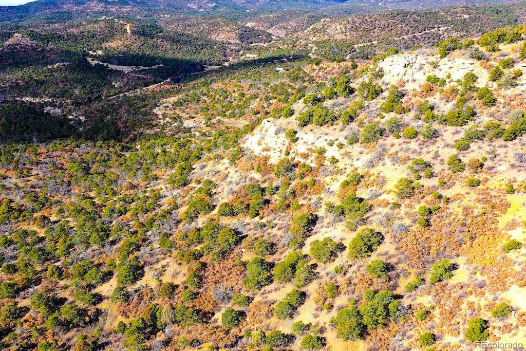 14 Fishers Peak Ranch Trinidad, CO 81082 - Photo 6 of 19 a view of a yard