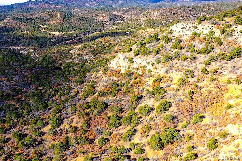14 Fishers Peak Ranch Trinidad, CO 81082 - Photo 7 of 19 a view of a field
