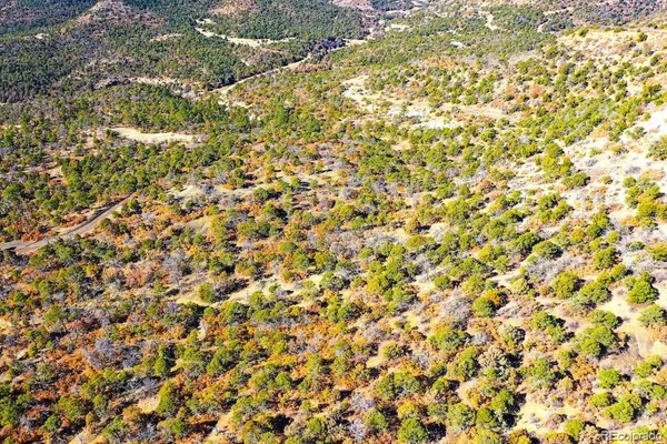 a view of a field with a mountain in the background