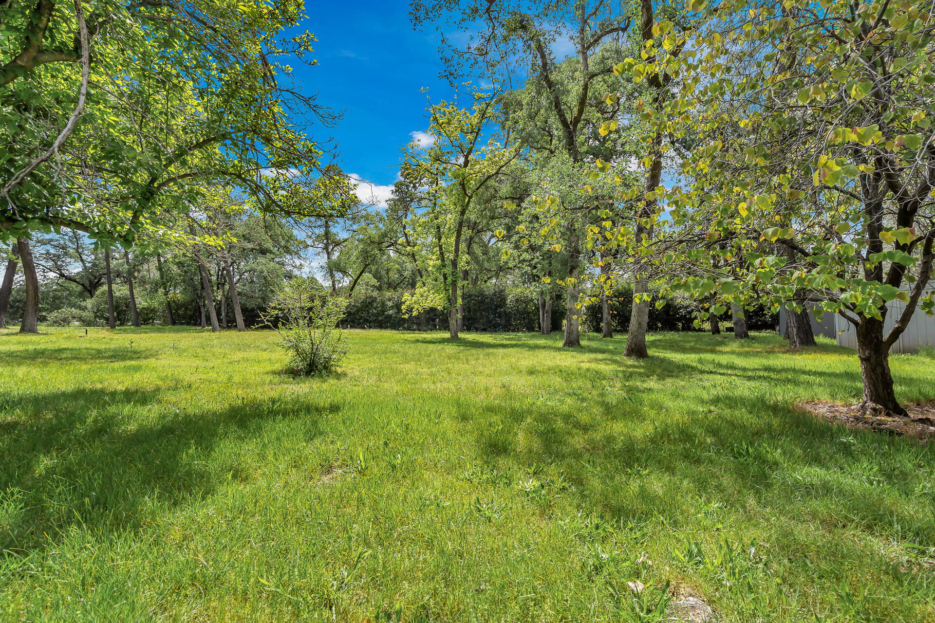 21743 Boyle Road Palo Cedro, CA 96073 - Photo 13 of 54 21743BoyleRoad-4
