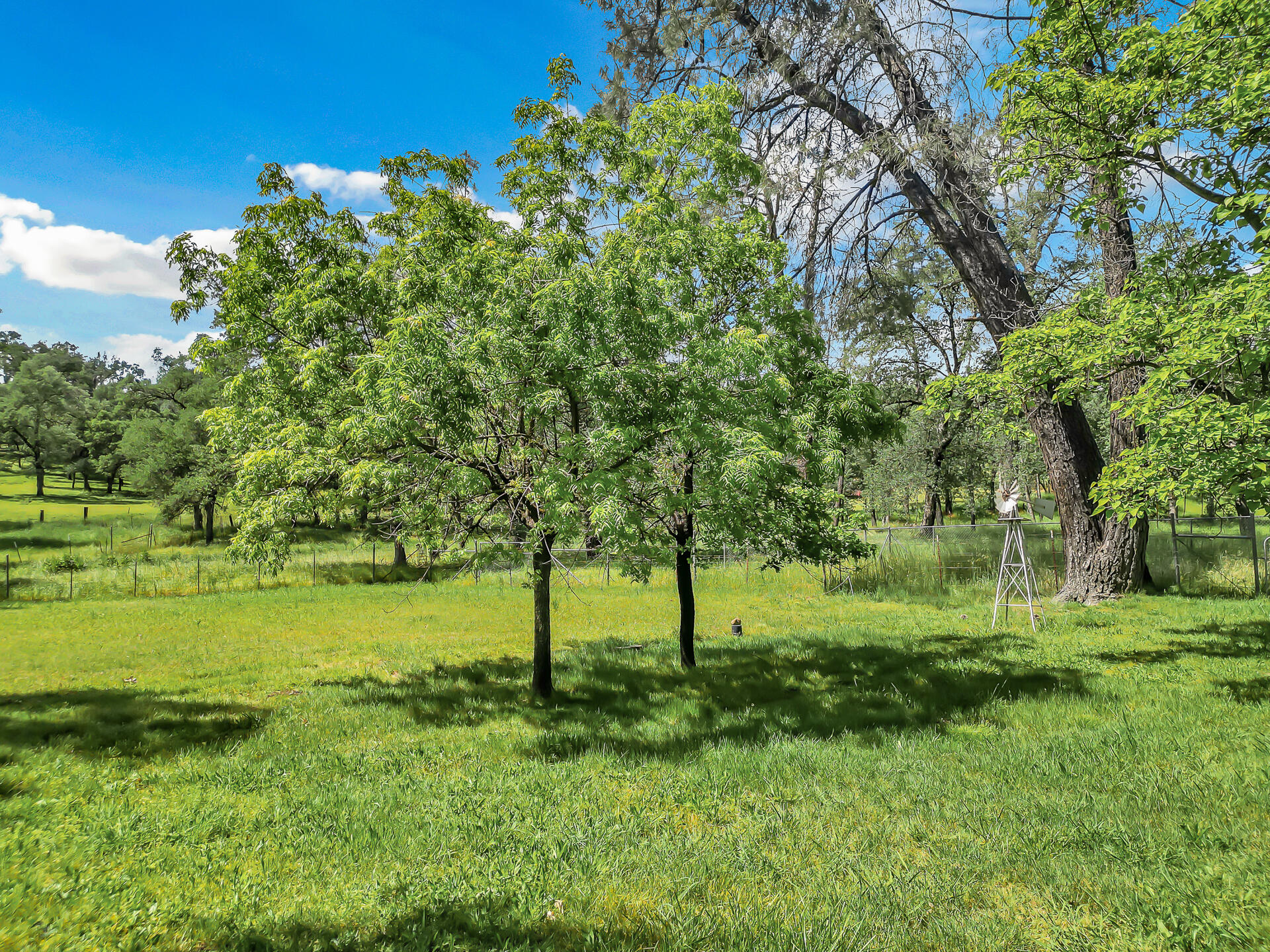 21743 Boyle Road Palo Cedro, CA 96073 - Photo 14 of 54 21743BoyleRoad-19