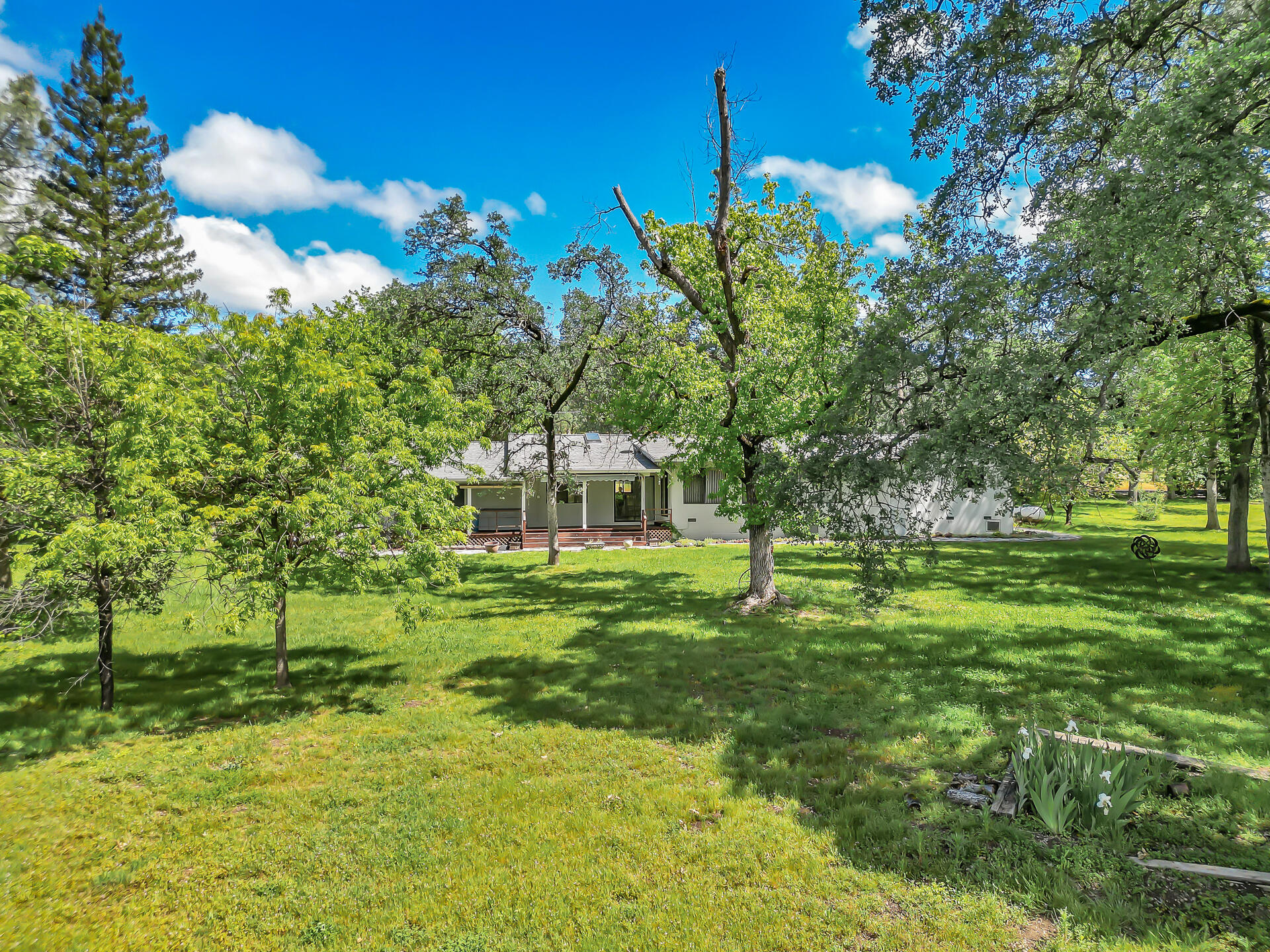 21743 Boyle Road Palo Cedro, CA 96073 - Photo 7 of 54 21743BoyleRoad-22