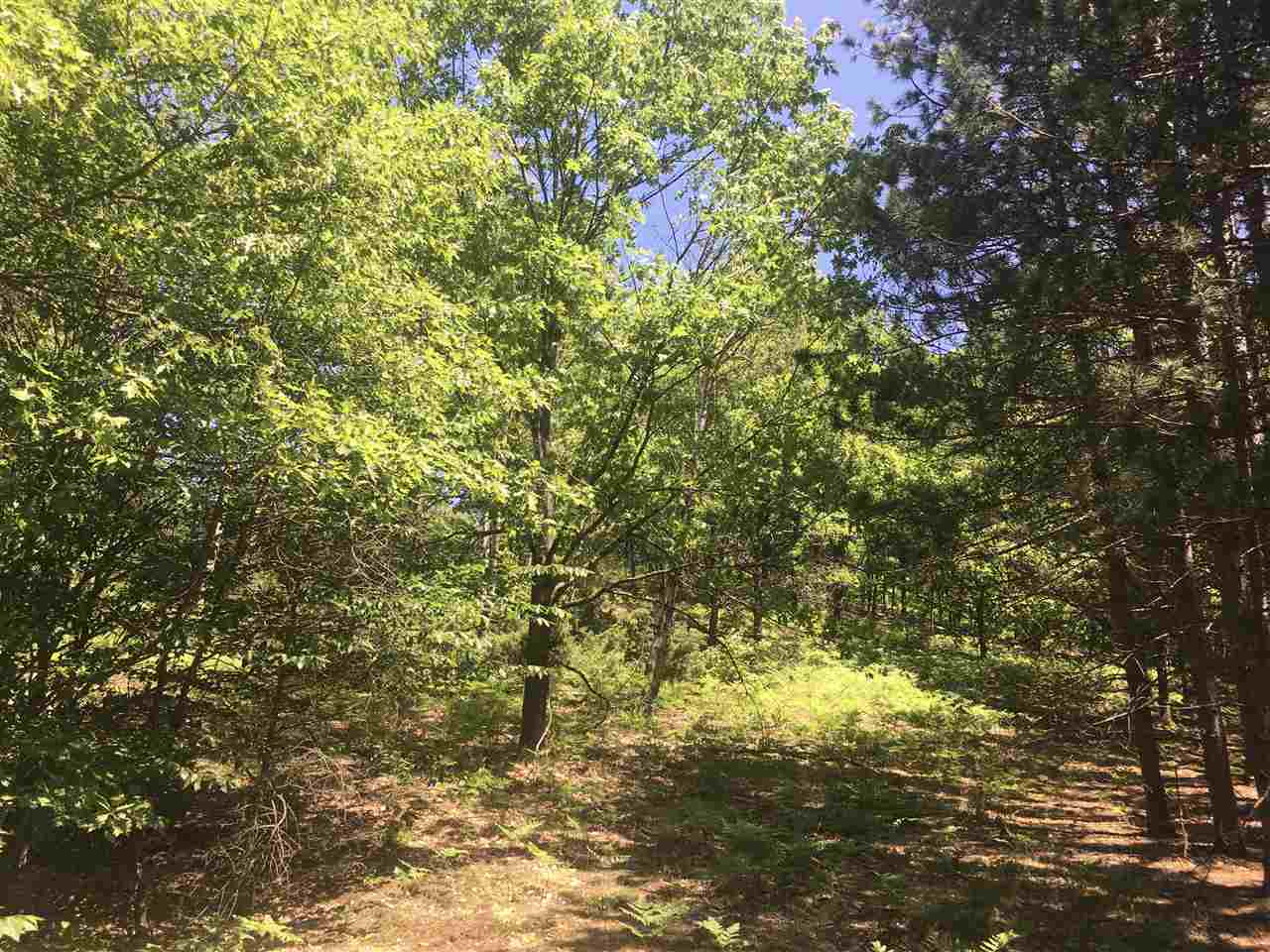 1221 North 41 1/2 Road Manton, MI 49663 - Photo 12 of 19 1876090-11.JPG