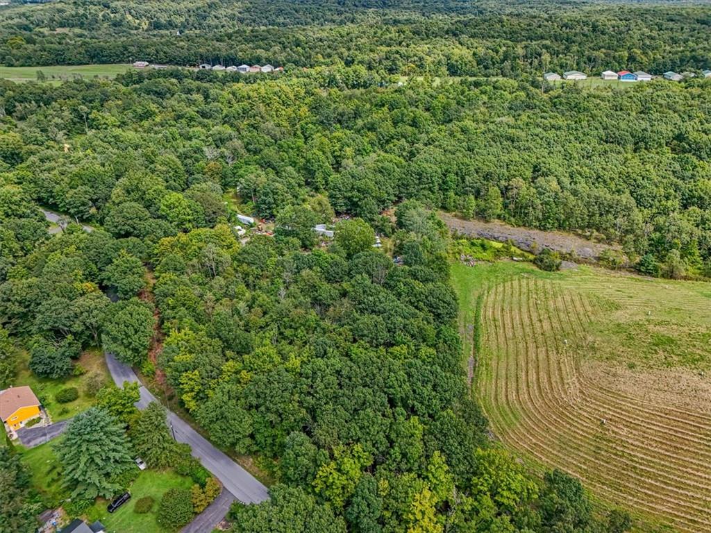 90 Freetown Road Wallkill, NY 12589 - Photo 2 of 17 a view of a yard with plants and large trees