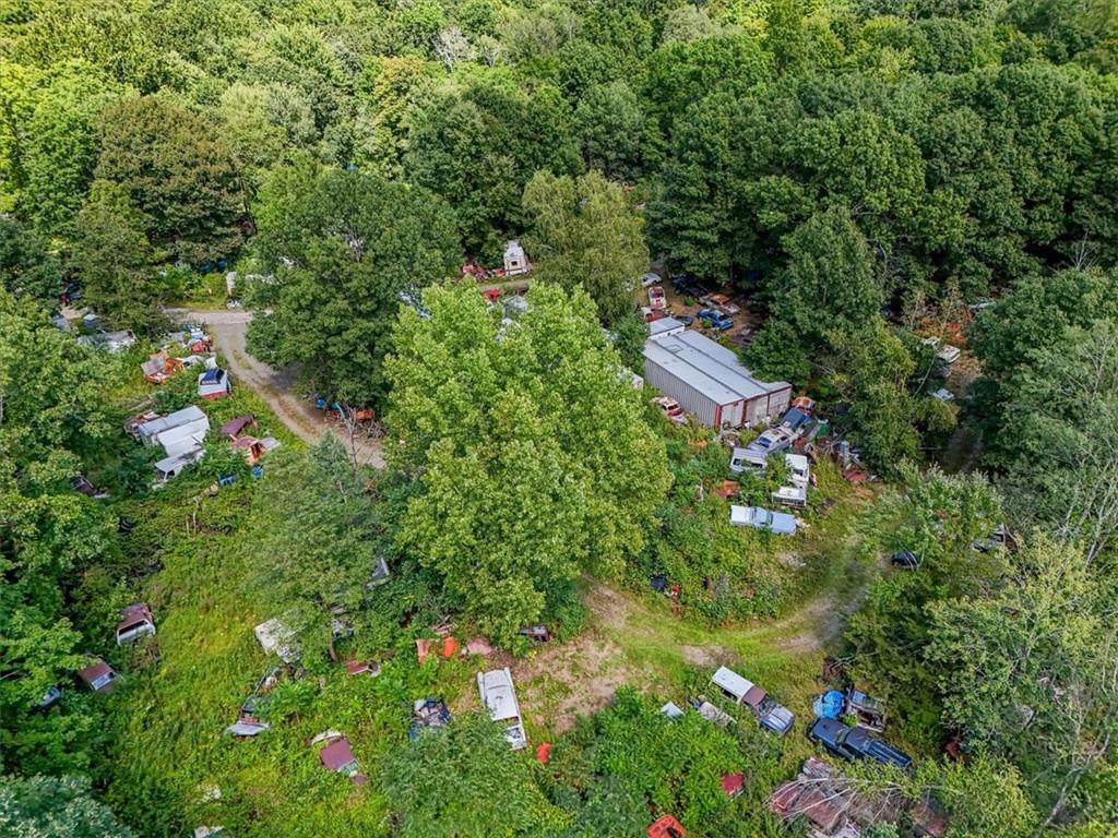 90 Freetown Road Wallkill, NY 12589 - Photo 9 of 17 a backyard of a house with lots of green space and trees all around